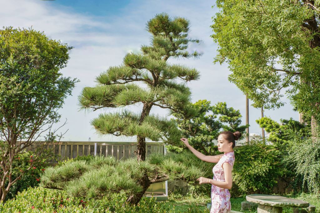 一個穿著淺色碎花洋裝的女人站在鬱鬱蔥蔥的花園裡，手伸向一棵修剪整齊的高大的黑松樹木，花園裡種滿了各種植物和綠化，以木柵欄和藍天為背景。