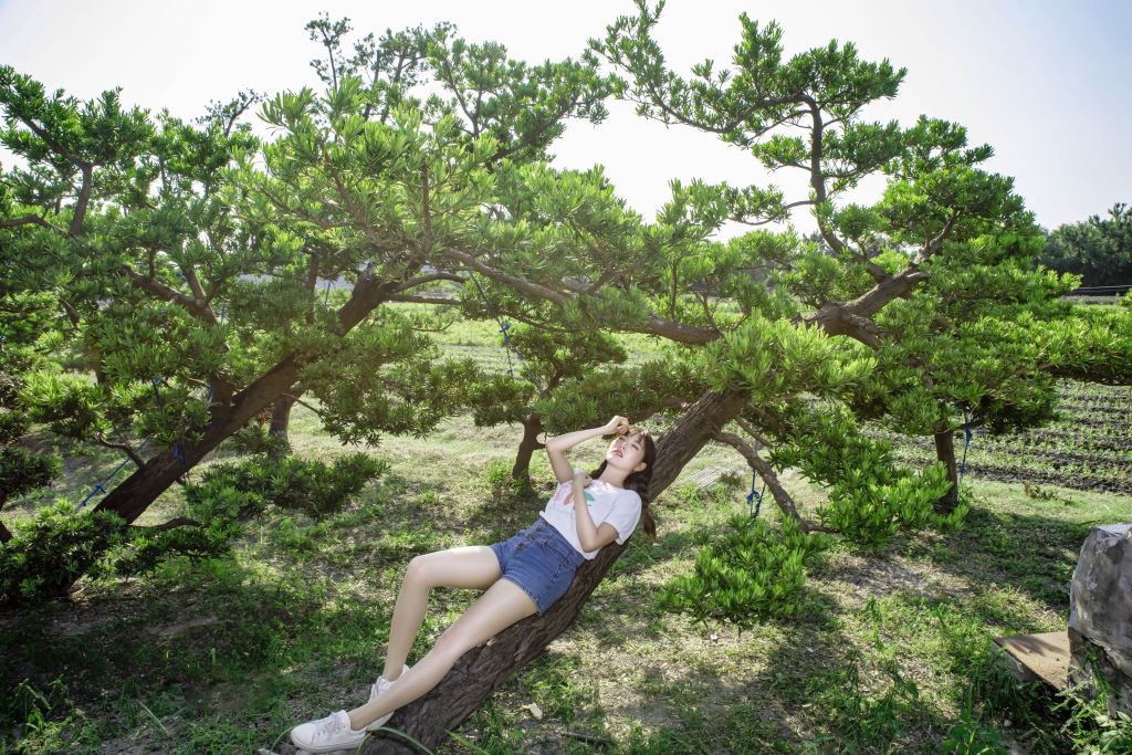 一個穿著白襯衫和牛仔短褲的人躺在草地上彎曲的樹幹上，這個人拿著一個小物體並看著它，背景有更多的樹木和晴朗的天空。