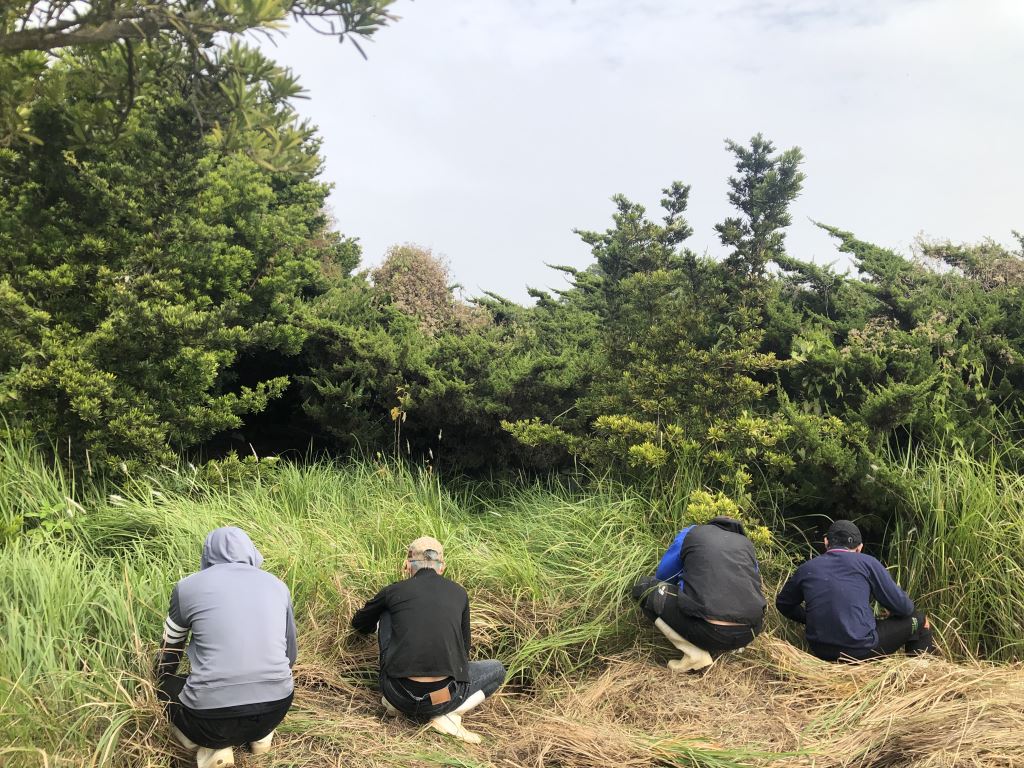 一群人蹲在草地上。