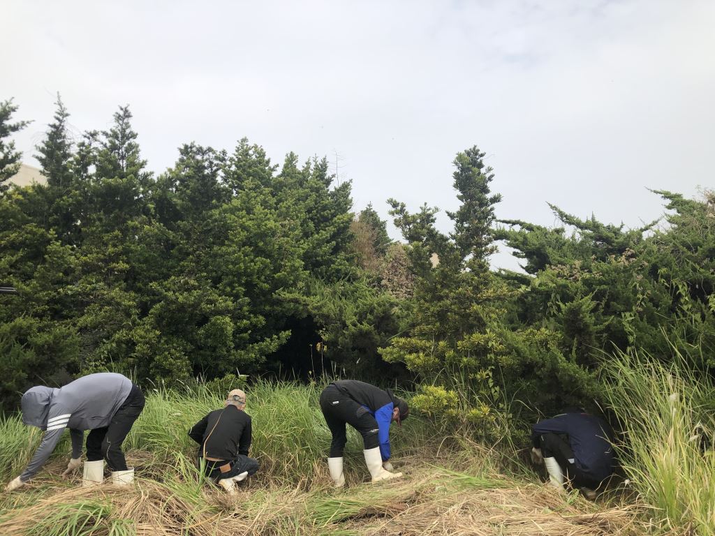 一群人在田裡除草。
